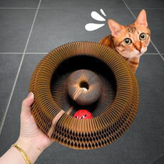 PawLoop - endloser Spielspaß für glückliche Katzen!